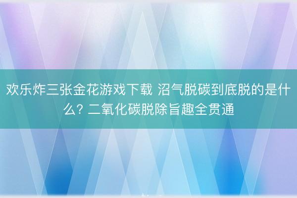 欢乐炸三张金花游戏下载 沼气脱碳到底脱的是什么? 二氧化碳脱除旨趣全贯通