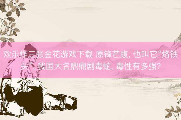 欢乐炸三张金花游戏下载 原锋芒蝮, 也叫它“烙铁头”, 我国大名鼎鼎剧毒蛇, 毒性有多强?