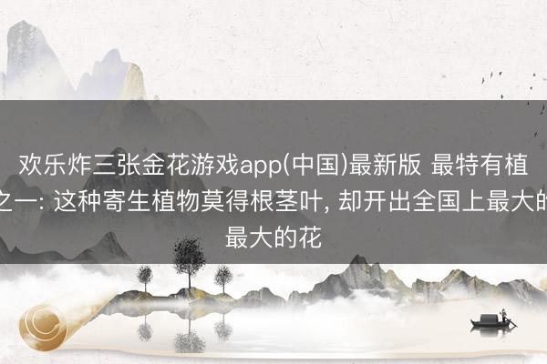 欢乐炸三张金花游戏app(中国)最新版 最特有植物之一: 这种寄生植物莫得根茎叶， 却开出全国上最大的花