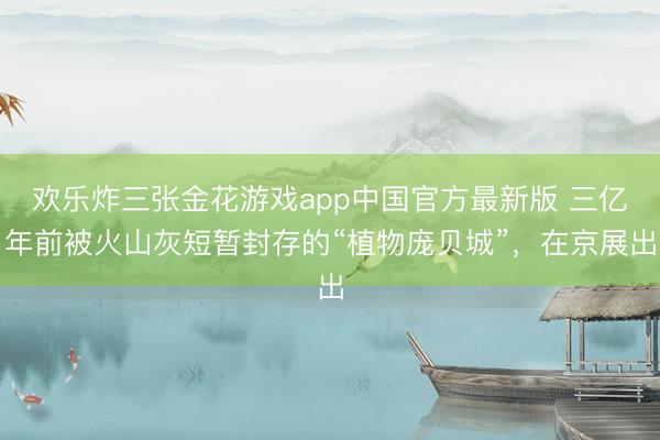 欢乐炸三张金花游戏app中国官方最新版 三亿年前被火山灰短暂封存的“植物庞贝城”，在京展出