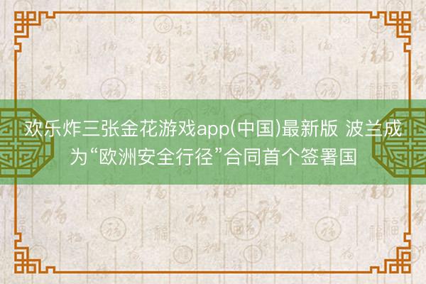 欢乐炸三张金花游戏app(中国)最新版 波兰成为“欧洲安全行径”合同首个签署国