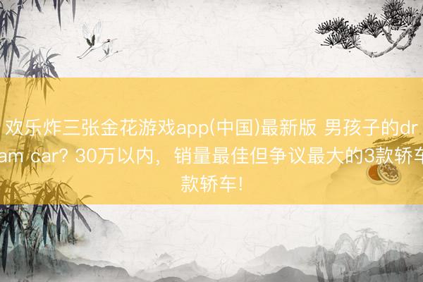 欢乐炸三张金花游戏app(中国)最新版 男孩子的dream car? 30万以内，销量最佳但争议最大的3款轿车!